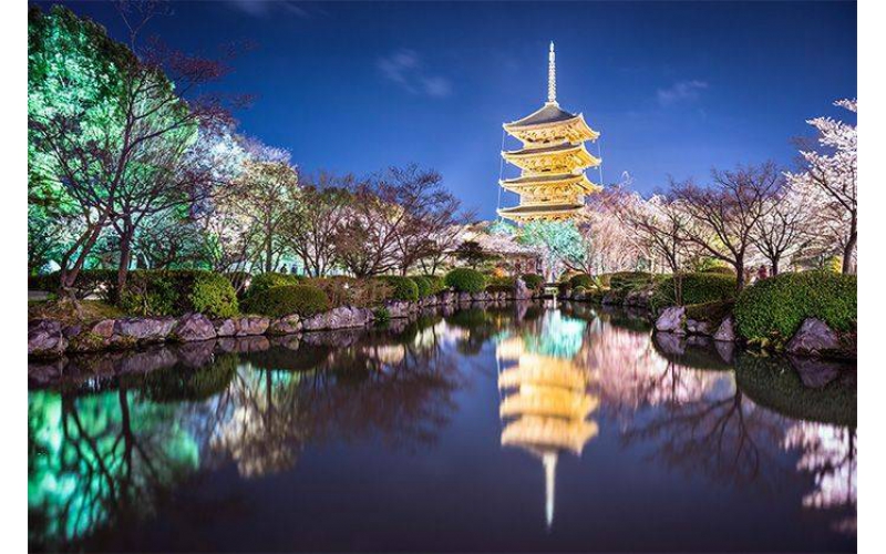 如何打造出讓市民滿意的公園亮化工程？